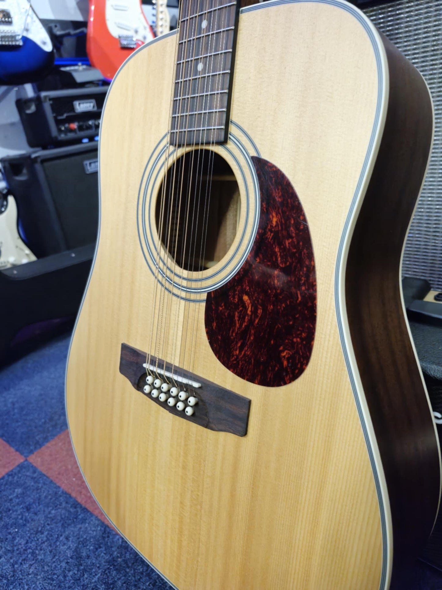 Cort Earth 70/12-OP (Pre-owned)
